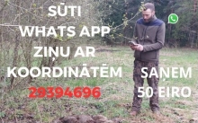 Ziņo WhatsApp par beigtu meža cūku!